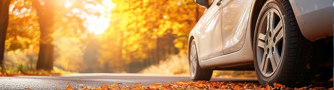 Autumn season with car