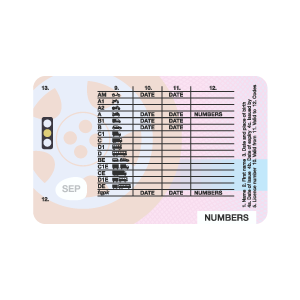 Image of driving licence codes and categories on back of UK driving licence