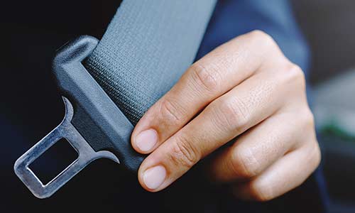  
Seat belt law: Everything you need to know