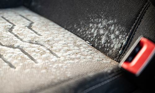 How to remove mould from your car