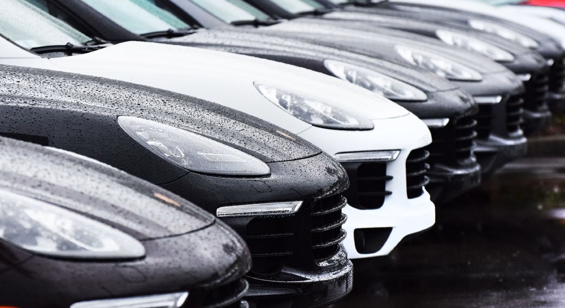 A car scrapyard