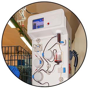 Blood transfusion machine