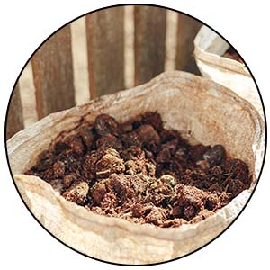 Bag of horse manure