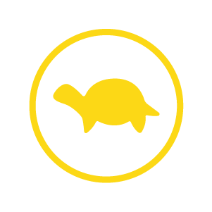 limited power warning light symbol