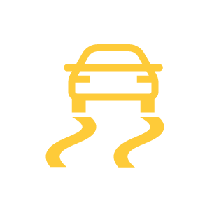Traction control warning light